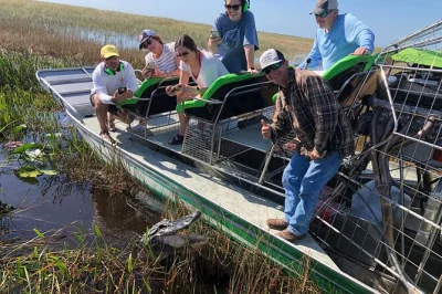 Erlebe die everglades bei miami hautnah auf einer airboat-tour – entdecke alligatoren, seltene pflanzen und heimische tiere in nur 60 minuten. inkl. wasserflasche und kleiner gruppe.