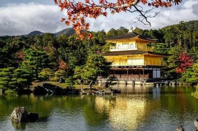 Scopri i templi di kyoto, le foreste di bambù e i vicoli nascosti con un tour privato di un giorno, trasporto incluso, guida locale e ingressi per un’esperienza senza pensieri.