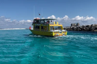 Erlebe eine delfin-tour in destin, entdecke verspielte delfine bei crab island und genieße den sonnenuntergang vom glasbodenboot aus. snacks und barrierefreie ausstattung inklusive.