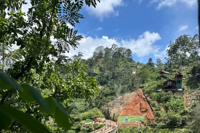 Descubre sri lanka con un conductor local: paisajes, cultura y sabores auténticos. recogida en aeropuerto, rutas flexibles y consejos locales para cada viajero.
