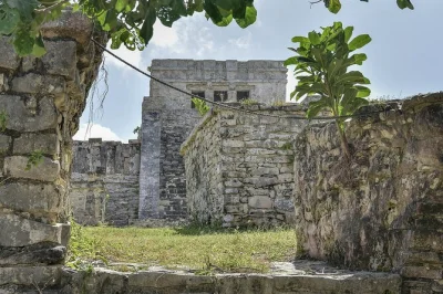 Step through tulum’s ancient ruins, snorkel with turtles in akumal, and swim in a yucatan cenote—all with a local guide, lunch, and round-trip pickup included.