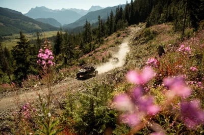 Erlebe whistlers wildnis auf einer offroad-tour mit dem rzr – durch bäche, vorbei an wildtieren, geführt von einheimischen. helm und ausrüstung inklusive.