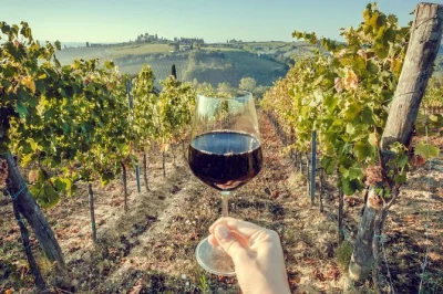 Scopri arrábida con una guida locale: degustazioni private di vino, formaggi tipici e panorami sull’atlantico. include pick-up, snack e trasporto completo.