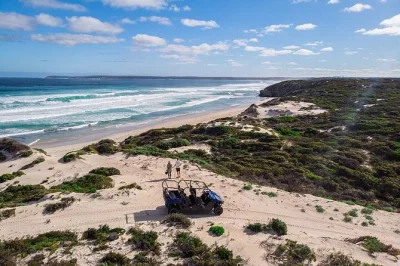 Feel the wind on a small-group buggy tour through kangaroo island’s little sahara, spot koalas in ancient gum trees, and reach a private beach with your guide.