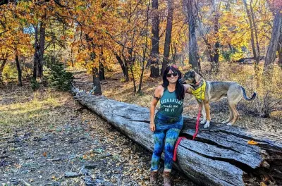 Big Bear Herbstfarben Wanderung: Nur für Einheimische