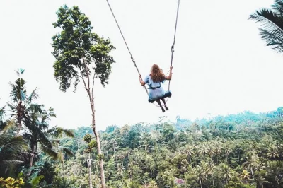 Feel the pulse of ubud with a private day tour—sacred monkey forest, jungle swing lunch, tegalalang rice terraces, holy spring temple, and tegenungan waterfall. includes pickup.