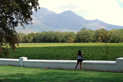 Sip south african wines in paarl, franschhoek & stellenbosch. taste local cheeses, enjoy a relaxed lunch, and travel with pickup—no city stops, just vineyards.