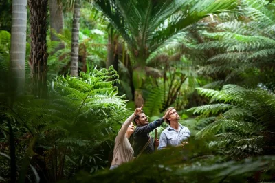 Step into melbourne’s royal botanic gardens with an aboriginal guide, learn about native plants, hear stories of kulin nation culture, and join a hosted walking experience.