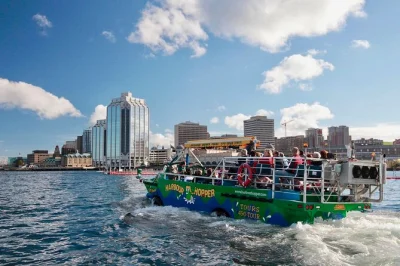 Feel the splash as you explore halifax by land & water on the harbour hopper tour. see citadel hill, public gardens, and the waterfront with a local guide included.