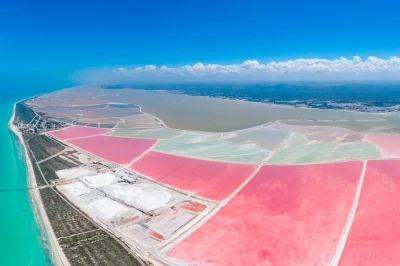 Las coloradas e río lagartos: passeio de um dia saindo de mérida com lagos cor-de-rosa, flamingos selvagens, passeio de barco, praia, almoço e entrada inclusa.