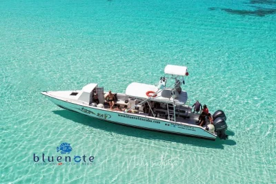 Erlebe cozumels bunte riffe bei einem 2-tank-tauchgang in kleiner gruppe mit lokalen guides. inklusive boot, mittagessen, ausrüstung und persönlicher betreuung.