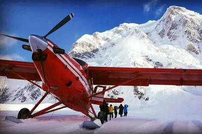 Siente la emoción de volar cerca de las cumbres de denali, sobrevolar glaciares y pisar hielo milenario. incluye recogida en hotel, guía en vivo y auriculares para todos.