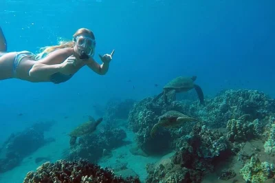 Swim with sea turtles in san juan’s clear waters, guided by locals and captured on gopro. includes all snorkeling gear and easy meetup near public transport.