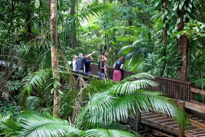 Descubre la selva milenaria de daintree, avista cocodrilos en un crucero por cooper creek y recorre mossman gorge con guía local. incluye recogida, almuerzo y entradas.