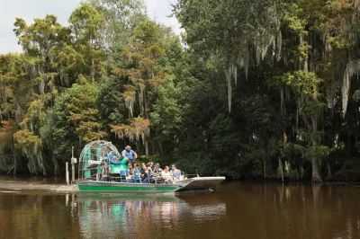 Siente el viento en un paseo en airboat por los pantanos de cipreses cerca de jean lafitte, new orleans. observa caimanes, aves y tortugas con un guía local. incluye opción de recogida en hotel.