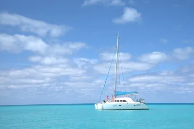 Feel the salt air on a private bermuda catamaran with swim stops, snorkeling, cliff jumping, and paddleboarding. includes cruise ship pickup and all gear.