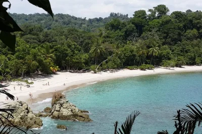 Curious about manuel antonio’s wildlife? see monkeys, sloths, and scarlet macaws, plus swim at white sand beaches. includes pickup, breakfast & lunch.