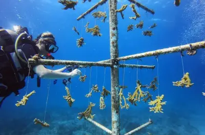 Mergulho em Antigua para certificados com 2 cilindros incluso