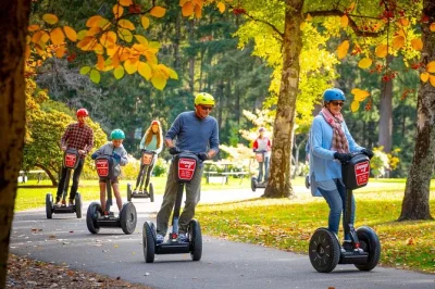 Feel the breeze as you glide on a segway along queenstown’s lakeside, explore queenstown gardens, and enjoy a small-group tour with a friendly local guide. includes segway use.