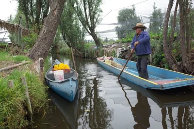Erlebe mexico city mit kaffee am morgen, entdecke xochimilcos schwimmende gärten per trajinera, koste lokale spezialitäten auf dem markt und triff bauern. inkl. mittagessen & bootsfahrt.