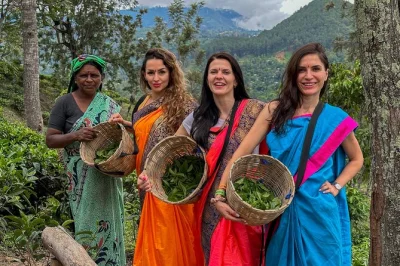 Feel the rhythm of ella’s tea fields, join a real tea plucking session, taste ceylon teas, and unwind at a hilltop café. flexible start times and local guide included.