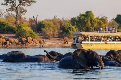 Chobe National Park tour: Game drive & river safari