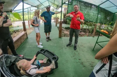 Feel the aromas of fresh coffee and hand-ground chocolate in la fortuna, costa rica, on a guided tour with tastings, accessible trails, and family warmth.