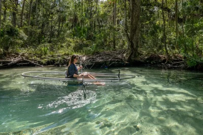 Disfruta del río chassahowitzka en kayak transparente, nada en seven sisters springs, avista manatíes con guía local y explora arroyos escondidos. todo el equipo incluido.