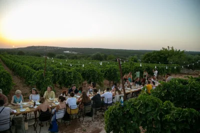 Feel the warmth of puglia’s itria valley on a vineyard walk, taste four local wines with homemade apulian food, and share stories at a family farmhouse.