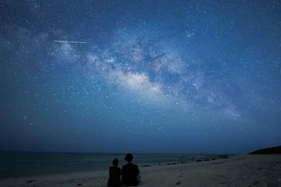 Feel the wild side of ishigaki after dark with a night jungle walk, subtropical wildlife, and stargazing in japan’s first starry sky protected area. includes guide & coupons.