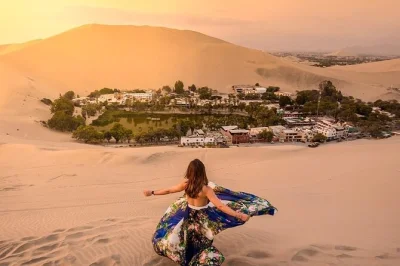 Wake up early in lima for wild sea lions at paracas, taste pisco in ica’s vineyards, and race dune buggies in huacachina. includes hotel pickup and luxury bus ride.