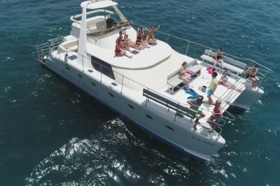 Feel the ocean breeze on a tenerife catamaran, watch wild whales & dolphins, enjoy a buffet lunch, drinks, and hotel pickup. small group tour for real moments.