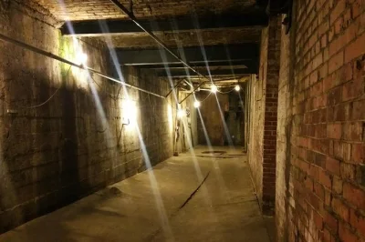 Step beneath seattle’s streets with a local guide, exploring pioneer square’s underground tunnels, quirky history, and stories of the city’s wild early days. small groups, rain or shine.