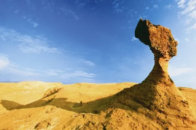 Let yourself wander taiwan’s north coast on a small-group tour from taipei, with yehliu’s wild rocks, jiufen’s old streets, pingxi sky lanterns, and hotel pickup included.