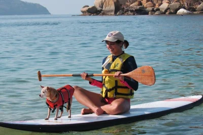 Feel the calm of acapulco bay on a paddle board, spot turtles or dolphins, and bring your pet along. includes all equipment and guidance from local instructors.