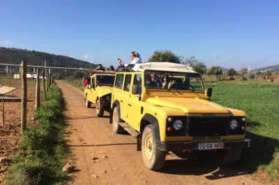 Erlebe die algarve natur auf einer halbtägigen jeep safari ab albufeira – probiere medronho, schwimme an den brunnen von alte und triff einheimische. inkl. abholung & guide.