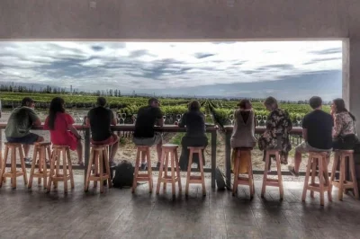 Savor mendoza’s best wines on a small group day tour with hotel pickup, tastings at boutique wineries, and a multi-course gourmet lunch overlooking the andes.