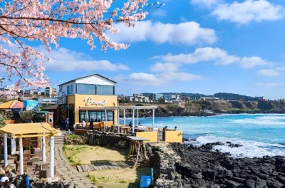 Feel alpine air on mt. halla, wander jeju’s volcanic cliffs, sip tea or stroll forest trails, and catch sunset at aewol cafes—all with guide and easy pickup.