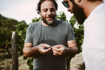 Start your pic st loup wine tour from montpellier, taste local wines at two wineries, stroll a medieval village, and share a homemade farm lunch in a family home.