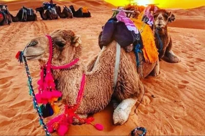 Merzouga sahara: kamelritt über erg chebbi, berbermusik am lagerfeuer und Übernachtung im privaten zelt. inkl. abendessen, frühstück & sandboarding.