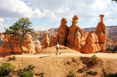 Erlebe die beeindruckenden hoodoos im bryce canyon und die steilen klippen im zion bei einem ganztagesausflug ab las vegas – inklusive mittagessen, parkeintritt und hotelabholung.