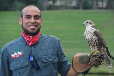Feel the rush of falconry near colorado springs with a licensed falconer, up-close bird encounters, and a chance to hold a trained falcon. includes water and transport.