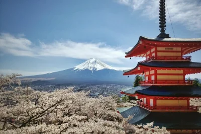Feel the quiet power of mount fuji on a day trip from tokyo with a spanish-speaking guide. includes lakeside views, aokigahara forest walk, and lunch.