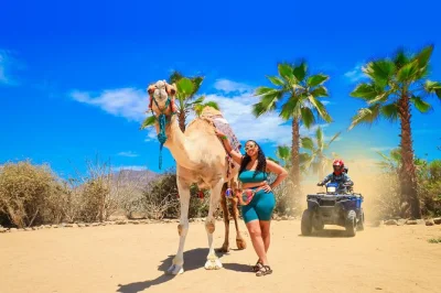 Feel baja’s wild side with an atv desert ride, camel beach walk, tequila tasting, and mexican buffet lunch in cabo. includes pickup and local guides.