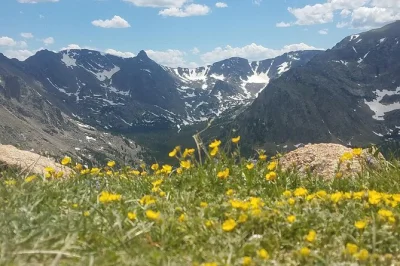 Feel the altitude on trail ridge road, walk to waterfalls, spot elk and marmots, and unwind with a picnic lunch—small group tour from denver with guide & snacks.