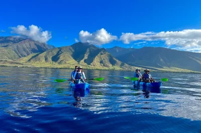 Viva a experiência de remar em olowalu, fazer snorkel com tartarugas e avistar baleias na costa de maui. grupos pequenos, equipamentos de qualidade e guia local inclusos.