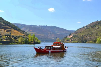 Start your douro valley day trip from porto with two vineyard tastings, a river cruise in pinhão, and a traditional winery lunch. includes pickup & local guide.