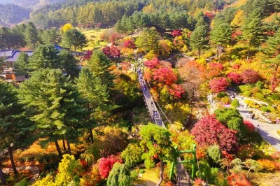 Feel the quiet magic of nami island, pedal a countryside rail bike, and wander korea’s oldest private garden—all with easy transport and local staff support.