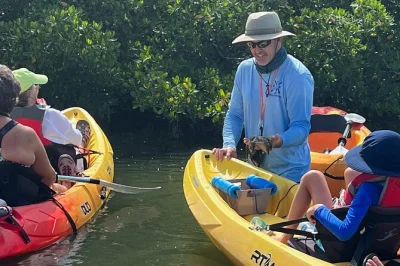 Feel the wild side of don pedro island by kayak, led by a florida master naturalist. paddle mangrove tunnels, spot dolphins & manatees, and learn local secrets.