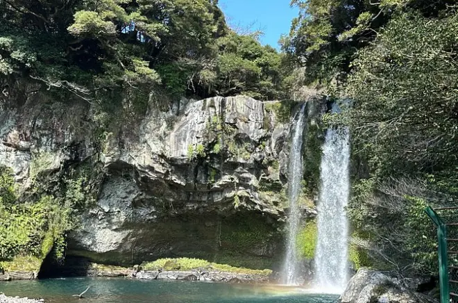 Jeju Kleingruppentour: Wanderung Mt. Halla, Klippen & Teeverkostung